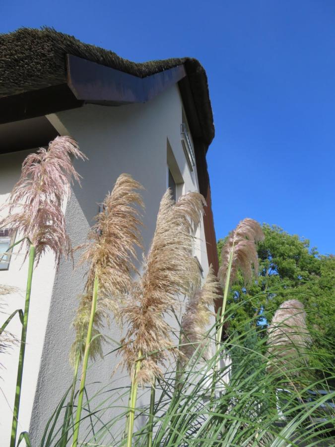 Boddenhaus Darss Apartamento Wieck Exterior foto